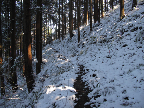 20161125hike (48)